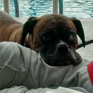 Meet your Posher, Lana